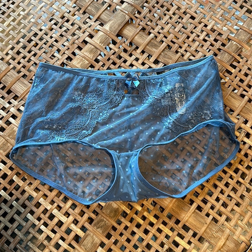 Adore me blue brand new boy, short see-through lace panties size medium NWT